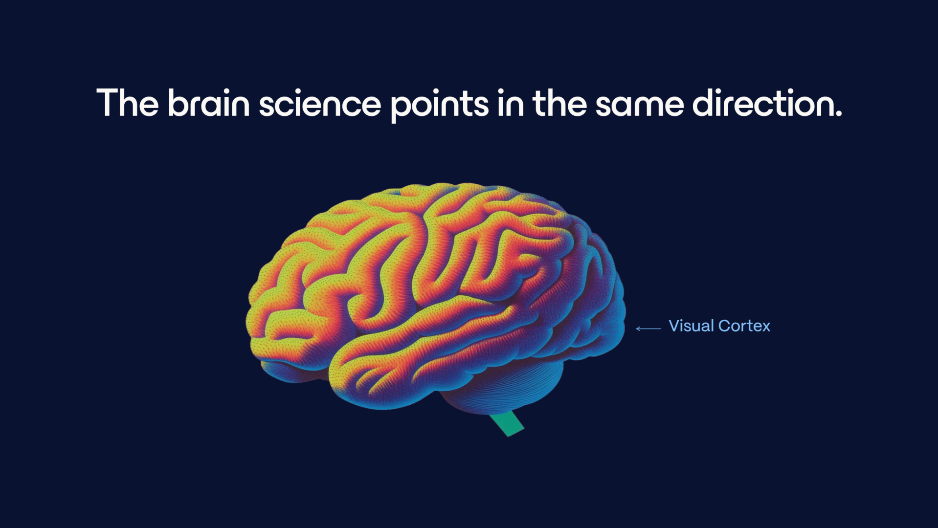 Colourful illustration of a human brain on a dark blue background, used to introduce the visual cortex evidence