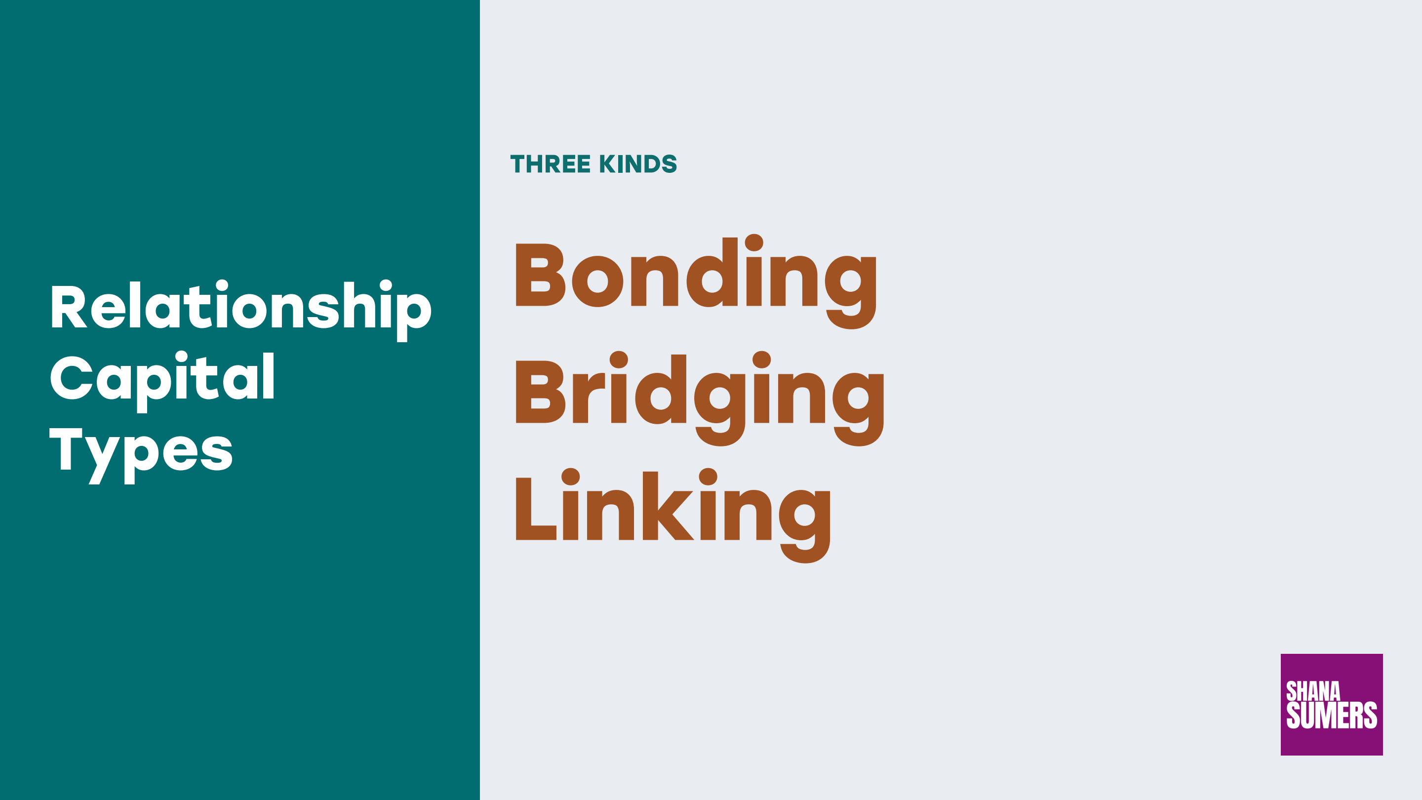 Slide titled Relationship Capital Types showing three kinds of relationship capital: Bonding, Bridging and Linking